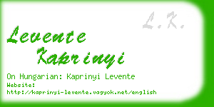 levente kaprinyi business card